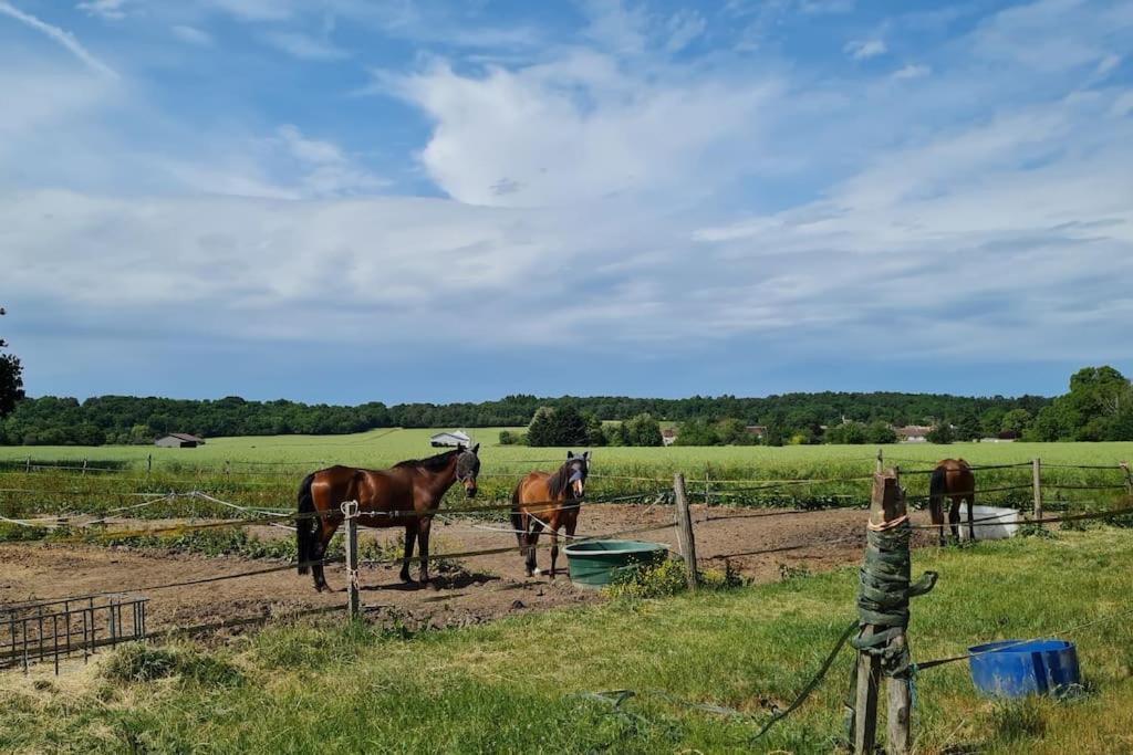 Belle Suite Dans Corps De Ferme - Logement Alicia Villiers-sous-Grez Bagian luar foto
