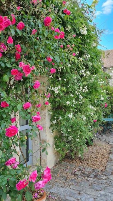 Belle Suite Dans Corps De Ferme - Logement Alicia Villiers-sous-Grez Bagian luar foto