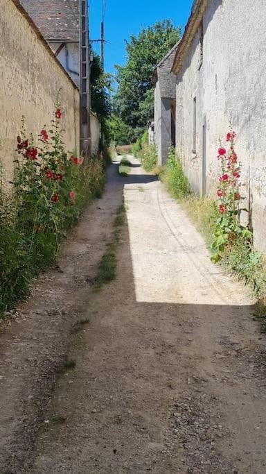 Belle Suite Dans Corps De Ferme - Logement Alicia Villiers-sous-Grez Bagian luar foto